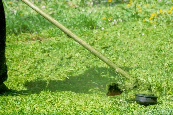 Errores al cortar la hierba alta en el jardín
